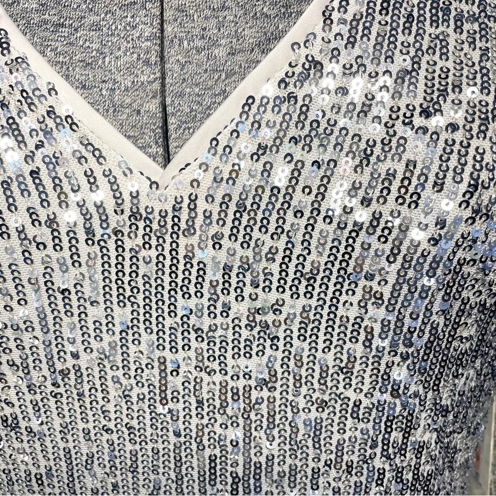 NWT Silver, and cream, Eliza J, double layered sequence dress - Picture 3 of 13